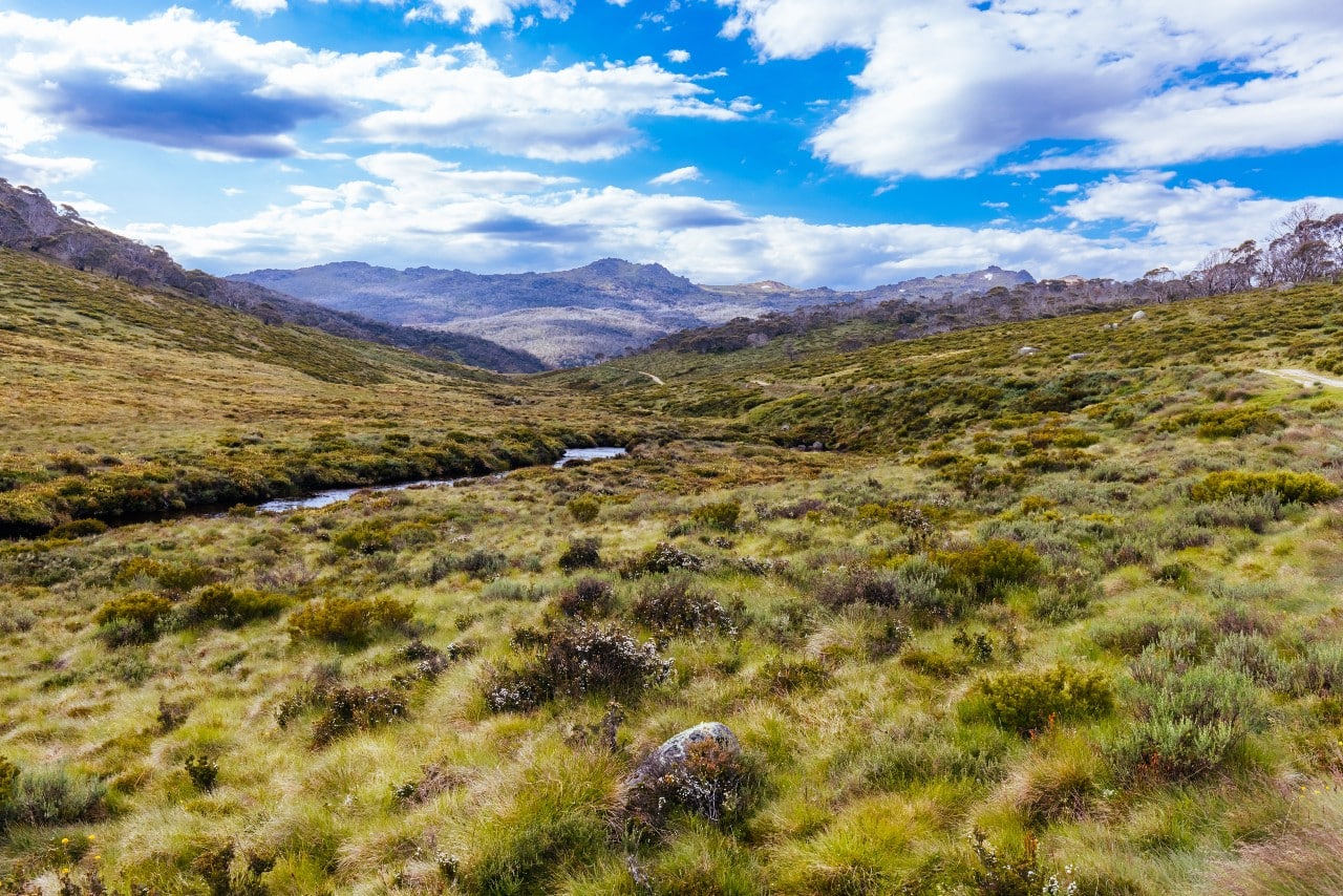 Snowy Hydro July